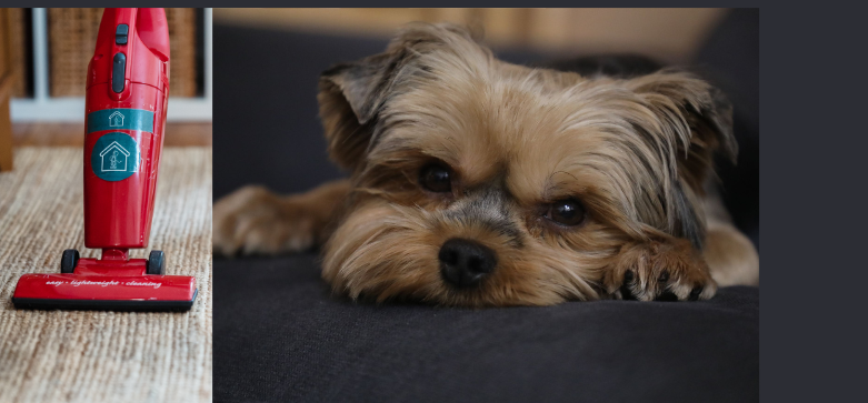 Melhor Aspirador de Pelos para Pets
