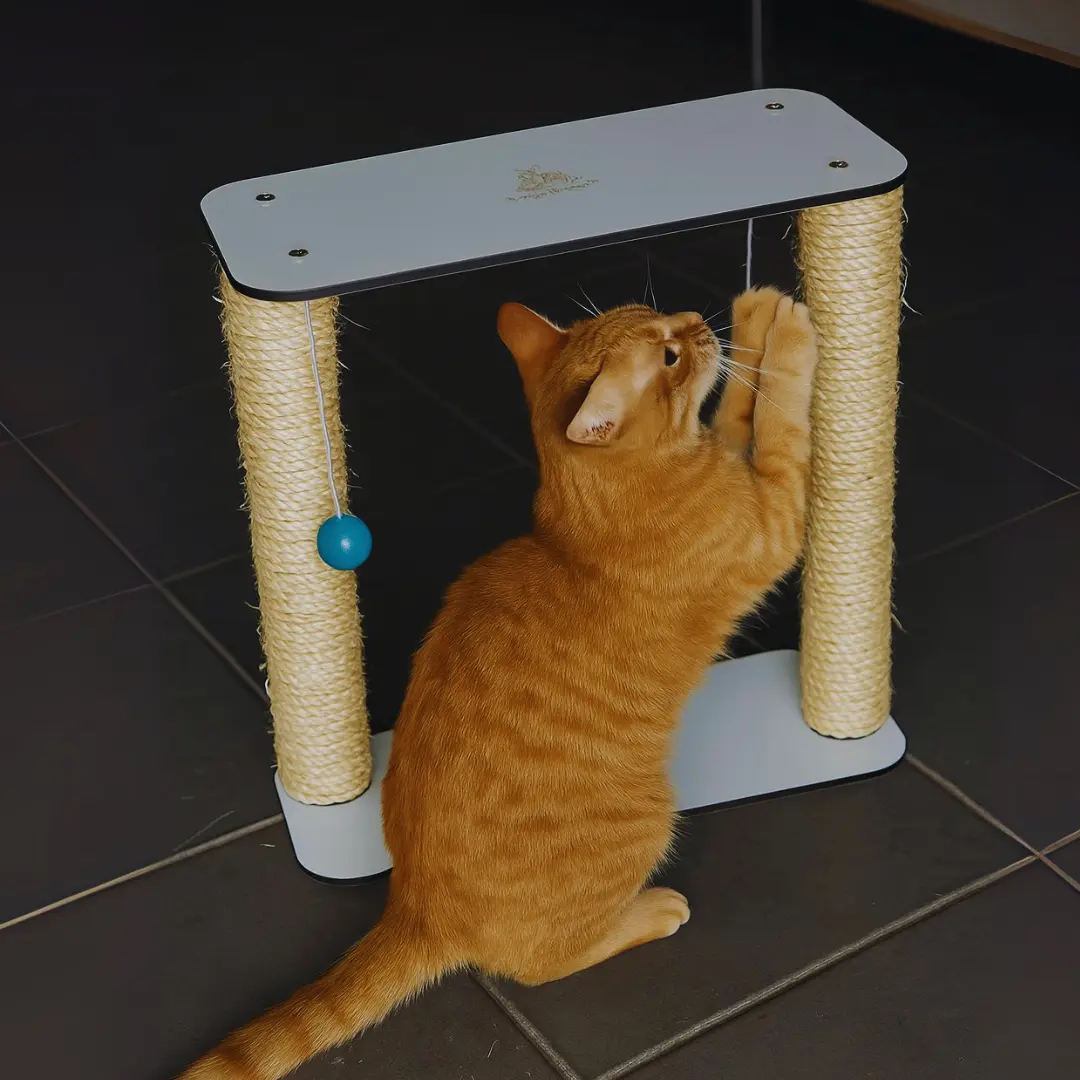 Melhor Arranhador Torre para Gato